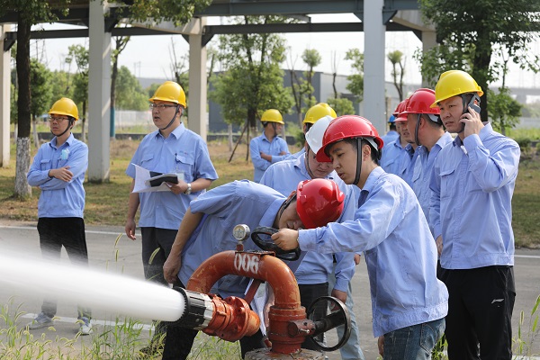 051657012773152891.jpeg 2.jpg